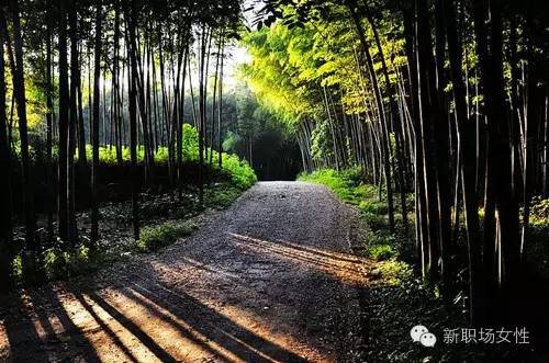 点击查看源网页