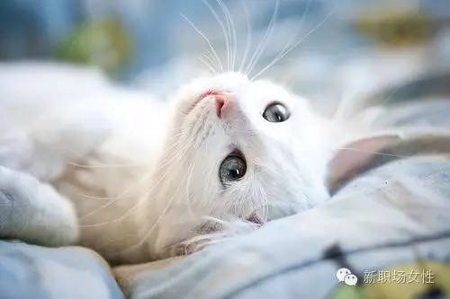 点击查看源网页