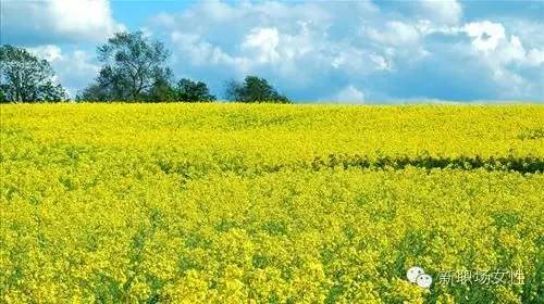 点击查看源网页