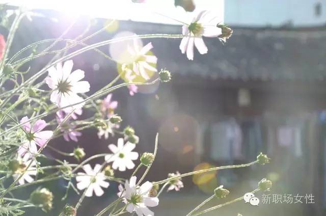 点击查看源网页