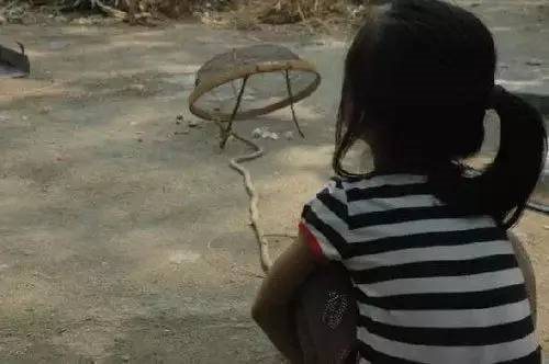 罩麻雀.jpg