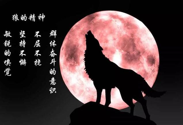 一,野心没有捕捉不到的猎物,就看你有没有野心去捕;没有完成不了的