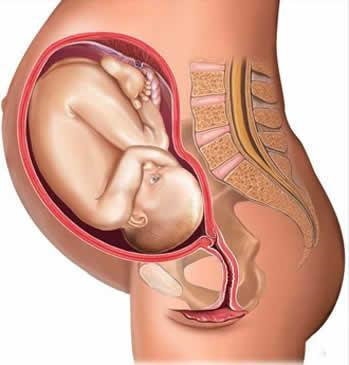 为什么说十月怀胎是280天具体是从那一天开始算